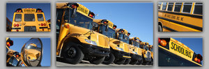 Bussing Service by Duaine Zila