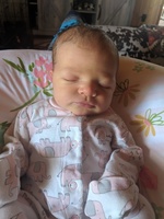 Welcome to the World Jaelyn Jo Volker